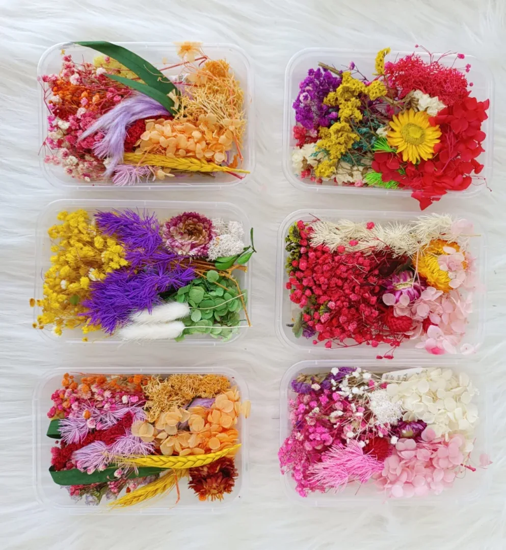 WhatsApp-Image-2023-02-19-at-11.26.10 Dried Flower Box For Resin - Image 1