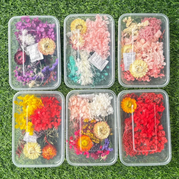 Dry Flowers Box
